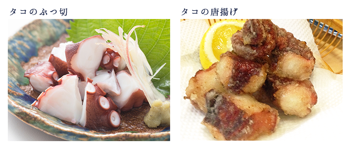 タコ料理